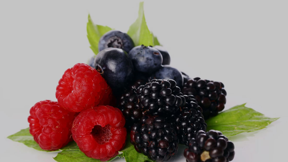 is it safe to eat mulberry fruits during pregnancy