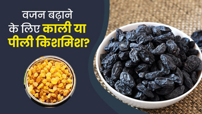 काली या पीली किशमिश: वजन बढ़ाने के लिए क्या है ज्यादा फायदेमंद? एक्सपर्ट से जानें