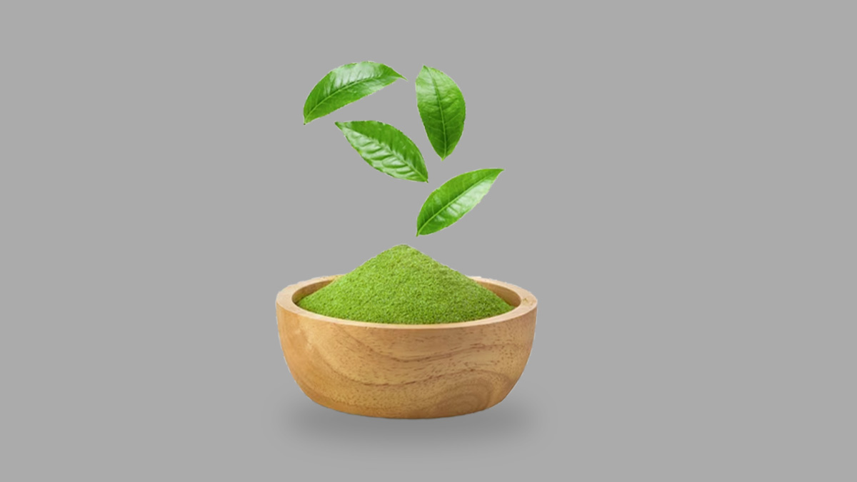 curry leaves
