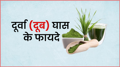 औषधीय गुणों का भंडार है दूर्वा (दूब) घास, जानें इसके फायदे और प्रयोग का तरीका