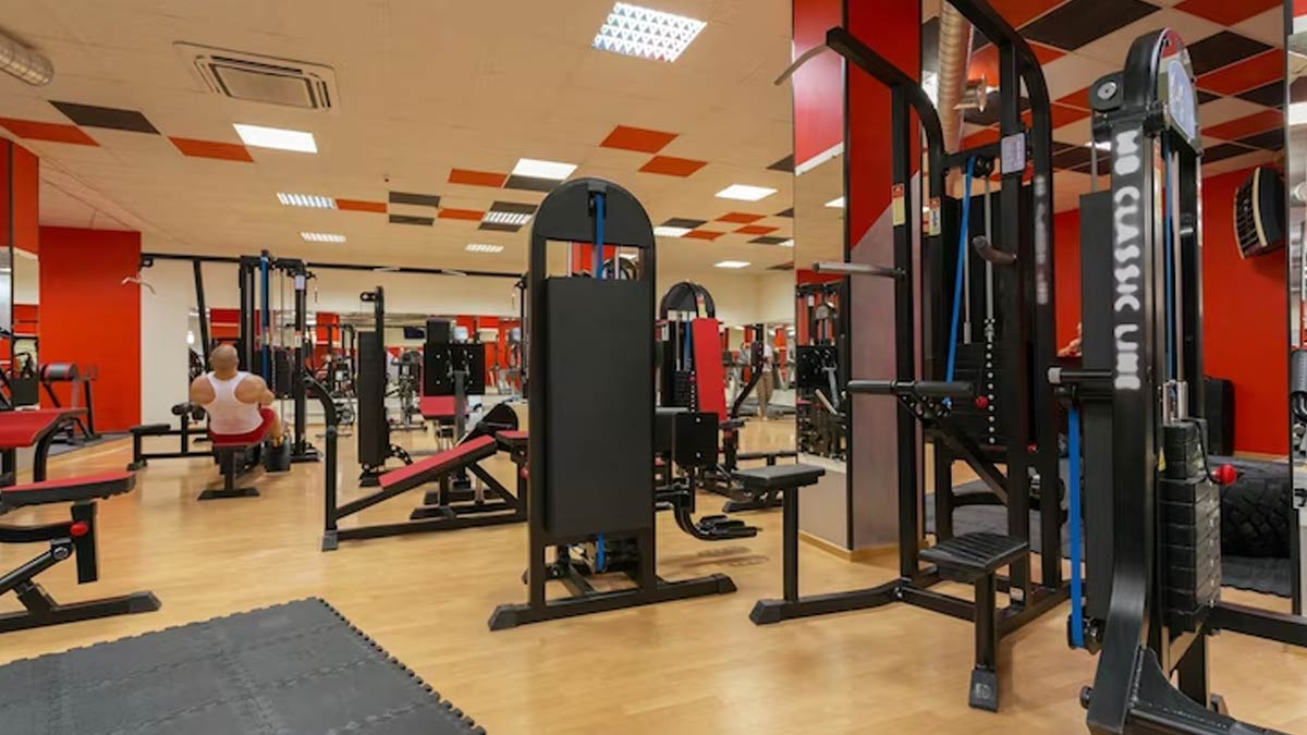 Types of best sale fitness equipment