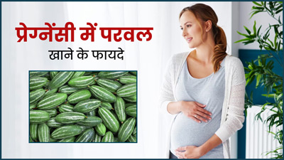 प्रेग्नेंसी में जरूर खाने चाहिए परवल, सेहत को मिलते हैं ये 5 फायदे