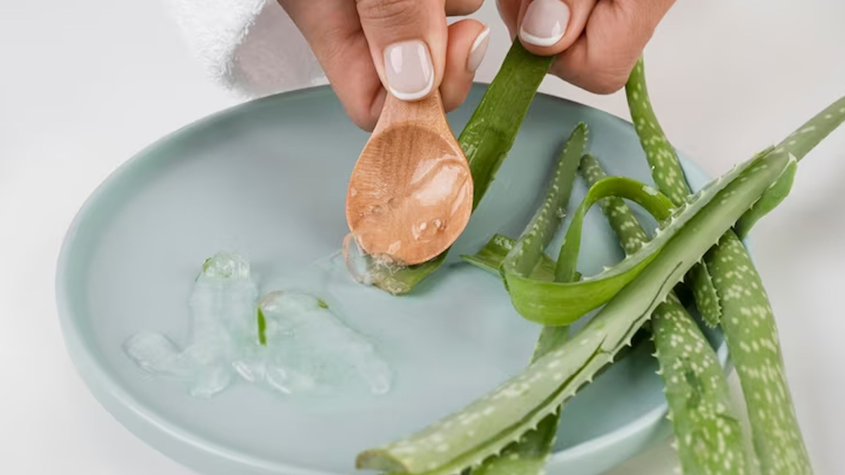 aloe vera beenfits in hindi