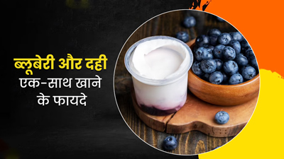 दही में ब्लूबेरी डालकर खाने से गर्मी में मिलते हैं खास फायदे, एक्सपर्ट से जानें इनके बारे में