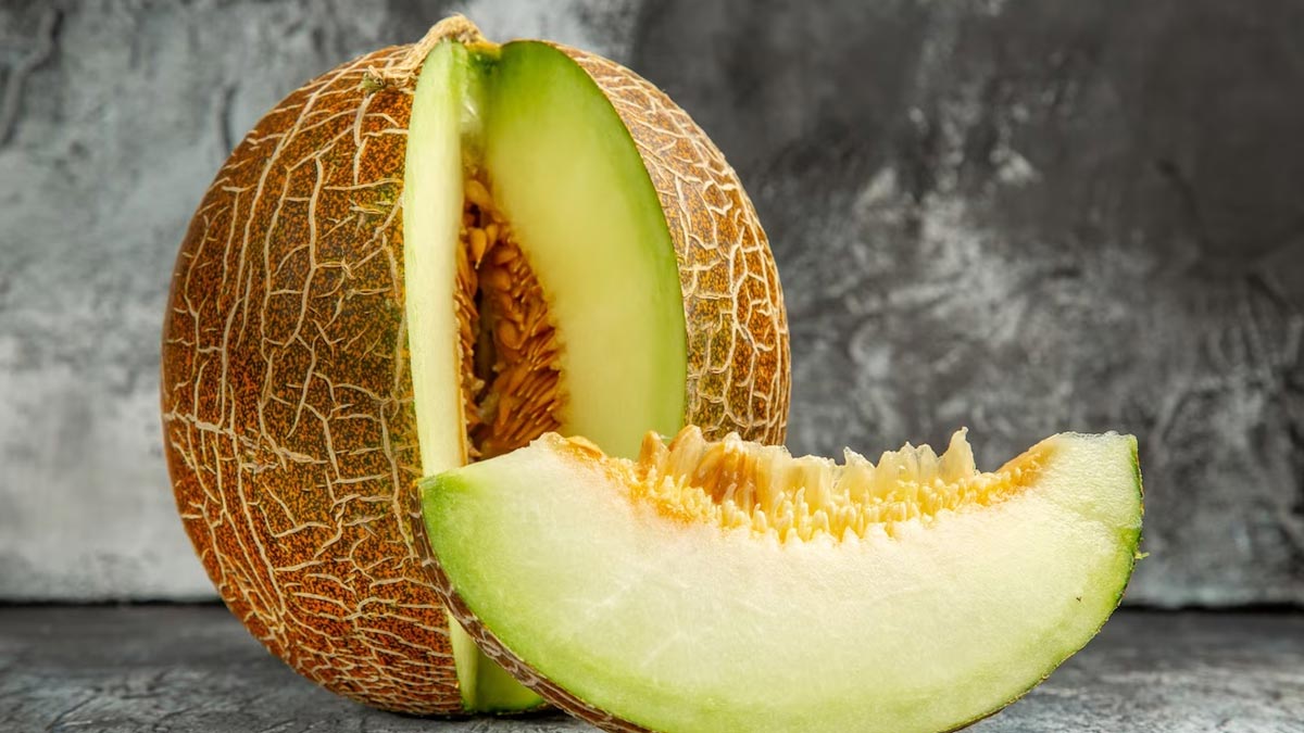 muskmelon increases sugar or not