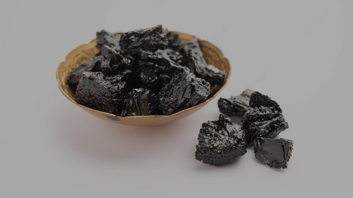 shilajit in ayurveda
