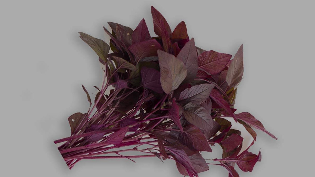Red Spinach for Weight Loss in Hindi