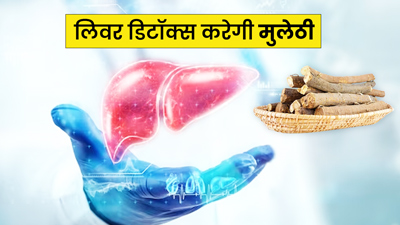लिवर डिटॉक्स करने में मदद करती है मुलेठी, एक्सपर्ट से जानें सेवन का तरीका