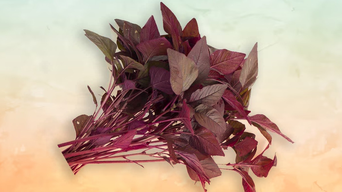 लाल पालक खाने के 5 फायदे | Red Spinach Health Benefits in Hindi | red