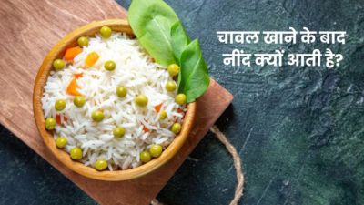 चावल खाने के बाद नींद क्यों आती है? डॉक्टर से जानें इसका कारण