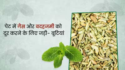 पेट की गैस और बदहजमी दूर करती हैं किचन में मौजूद ये 5 जड़ी- बूटियां, जानें इस्तेमाल का तरीका