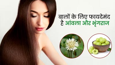 आंवला और भृगंराज से बालों को बनाएं मजबूत और शाइनी, जानें इसके अन्य फायदे 