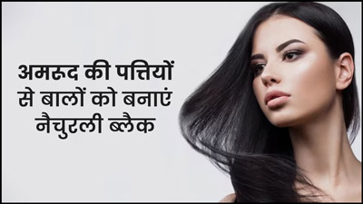 बालों को काला करने के लिए करें अमरूद की पत्तियों का इस्तेमाल, जानें प्रयोग का तरीका