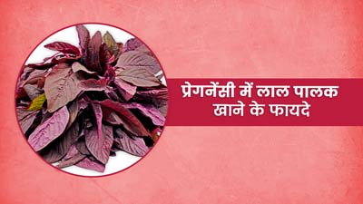 प्रेग्नेंसी में करें लाल पालक का सेवन, मिलेंगे कई फायदे