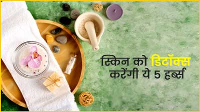 स्किन को डिटॉक्स कर ग्लो लाते हैं ये 5 हर्ब्स, जानें कैसे करें इस्तेमाल 