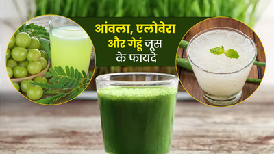 आंवला, एलोवेरा और व्हीटग्रास का जूस पीने से सेहत को मिलते हैं ये खास फायदे, जानें बनाने का तरीका