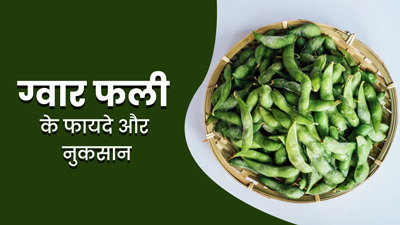 ग्वार फली के सेवन से सेहत को मिलते हैं कई फायदे, जानें इसके नुकसान भी