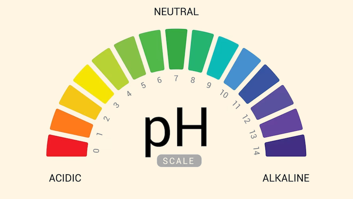 What is pH and Why Is It Important?