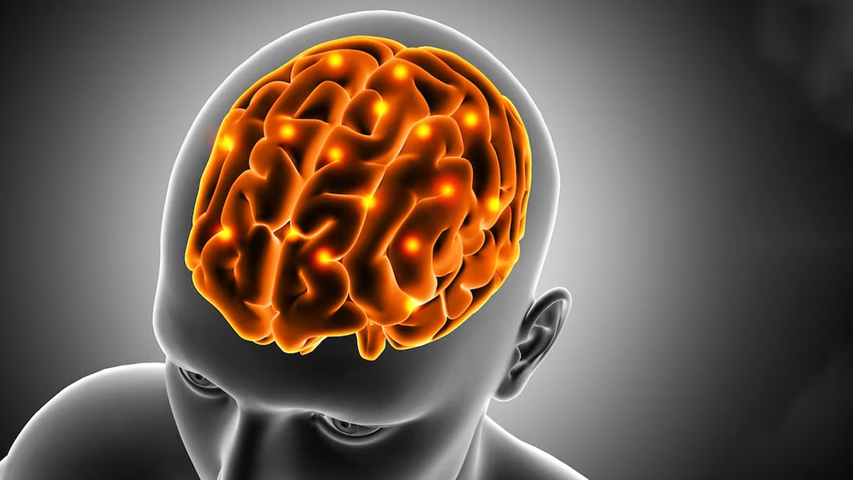 Neurocysticercosis Causes In Hindi: