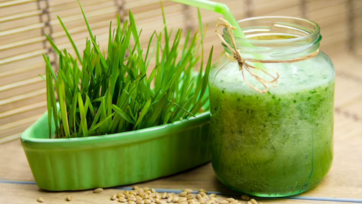 wheat grass juice for anemia in hindi