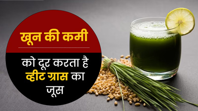 खून की कमी दूर करता है व्हीट ग्रास जूस, जानें बनाने का तरीका