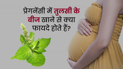प्रेग्नेंसी में तुलसी के बीज खाने से क्या फायदे होते हैं? डॉक्टर से जानें
