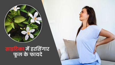 साइटिका में हरसिंगार का फूल है बेहद फायदेमंद, जानें कैसे करना है इस्तेमाल