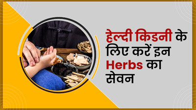 किडनी के लिए वरदान हैं ये 5 हर्ब्स, आज ही करें डाइट में शामिल