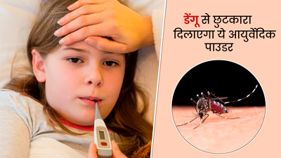 National Dengue Day: आयुर्वेद के अनुसार कैसे किया जाए डेंगू का इलाज? आयुष मंत्रालय ने शेयर की गाइडलाइन
