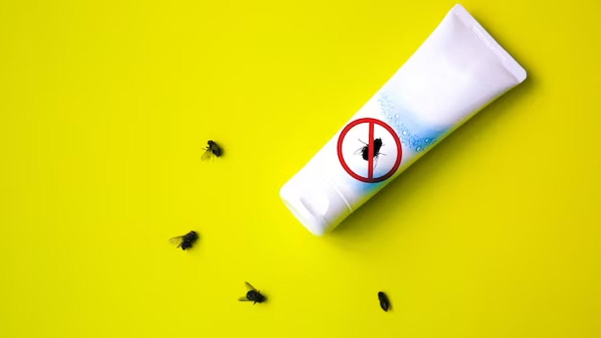 National Dengue Day: 5 Reasons Why Your Baby Needs An Insect Repellent Cream