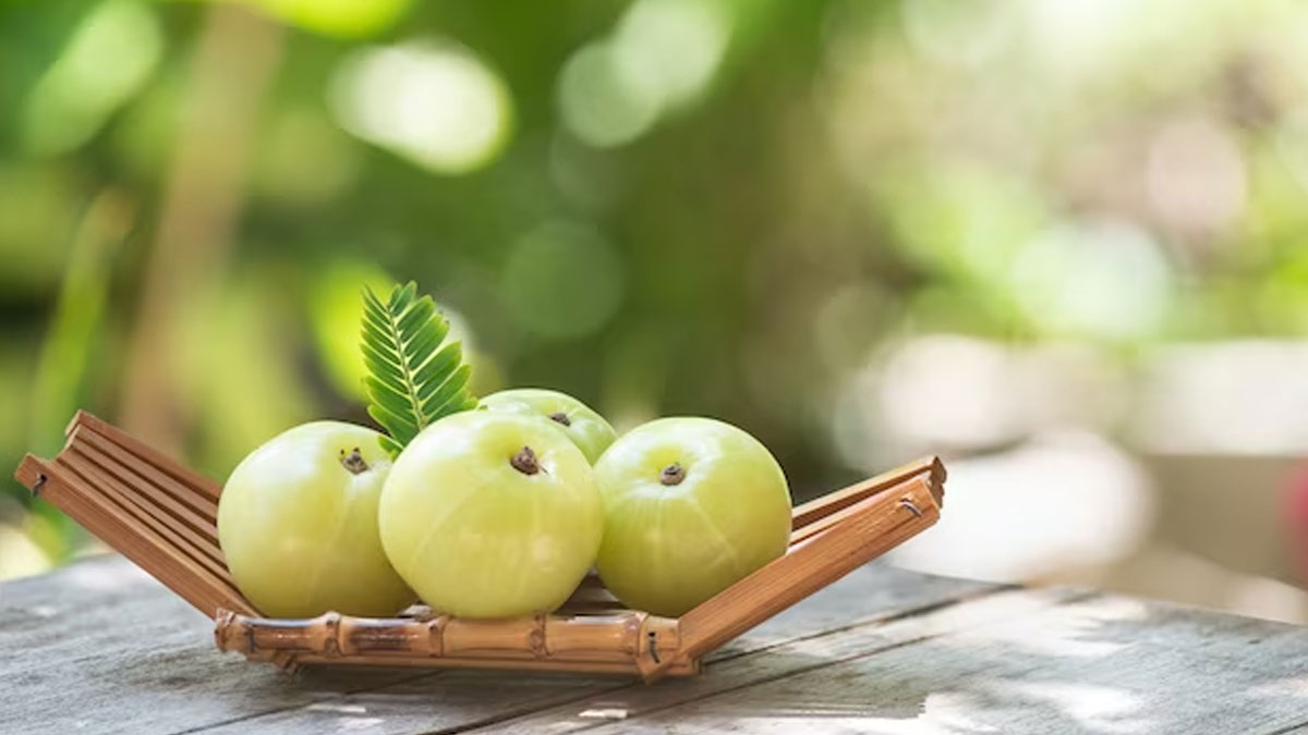 ayurvedic way to treat hair loss in pcos