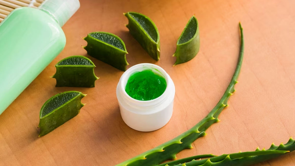 Summer Skincare: Expert Lists Different Ways To Use Aloe Vera On Your Skin