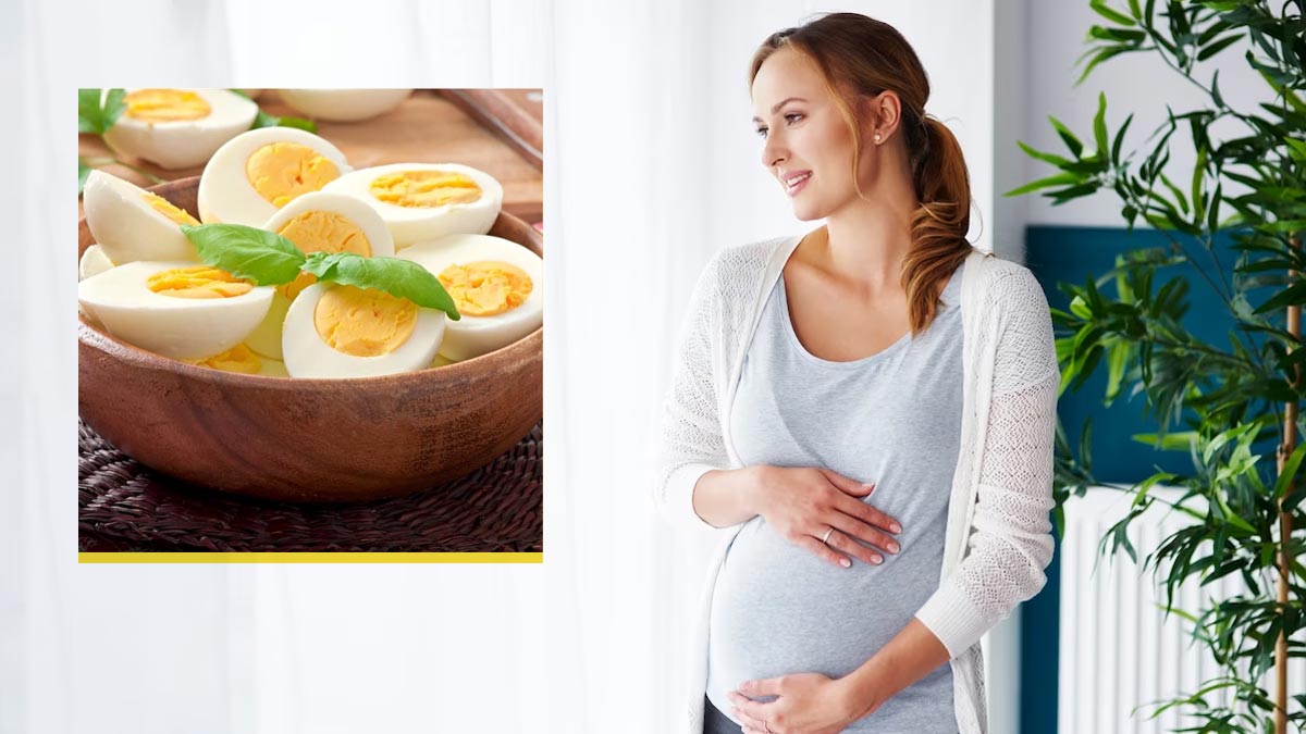 क्या गर्भवती महिलाएं गर्मियों में अंडा खा सकती हैं? जानें एक्सपर्ट की राय
