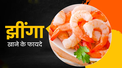 नॉन वेजिटेरियन लोग डाइट में शामिल करें झींगा, जानें इस लो कैलोरी Seafood के फायदे