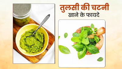 खाने का स्‍वाद ही नहीं इम्‍यून‍िटी भी बढ़ाती है तुलसी की चटनी, जानें रेस‍िपी और फायदे  