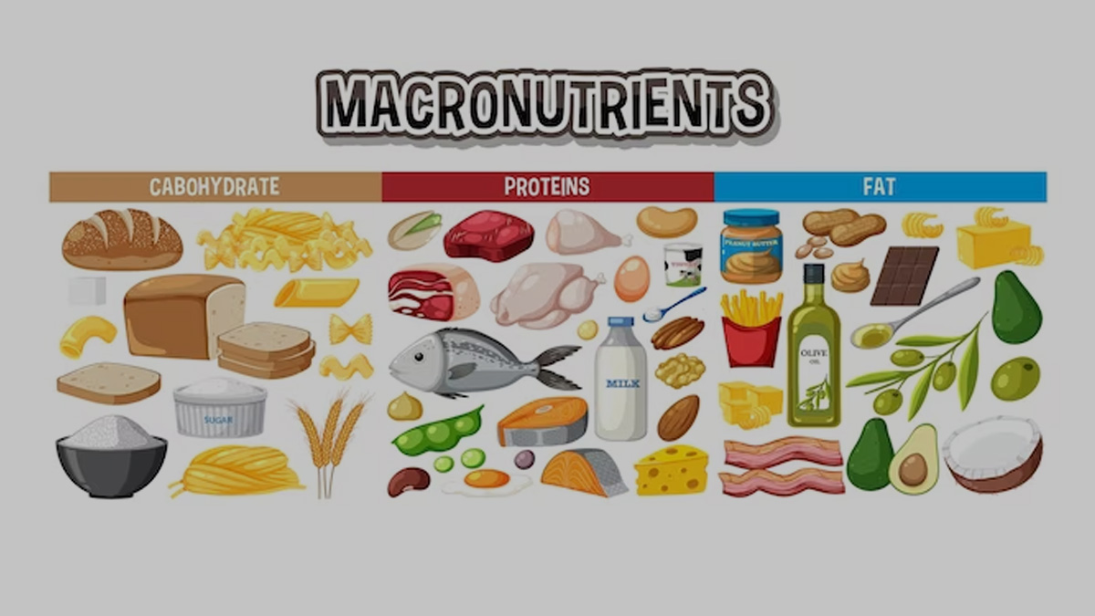 What Is Macronutrients In Hindi