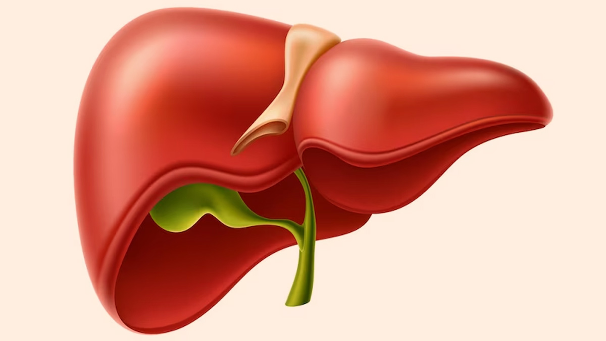 Hepatomegaly: Causes, Symptoms, Diagnosis And Treatment