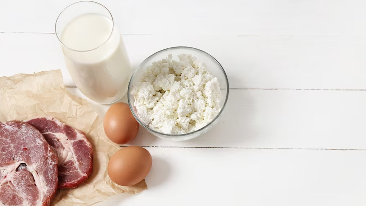 The Protein Puzzle: Eggs, Chicken, Or Whey? Discovering The Champion For Muscle Building