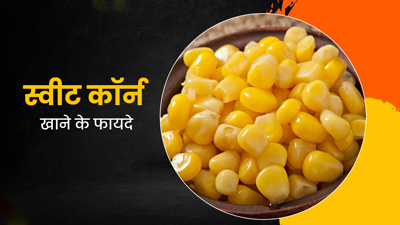 स्वाद ही नहीं सेहत से भी भरपूर है स्वीट कॉर्न, जानें इसे खाने के 5 जबरदस्त फायदे