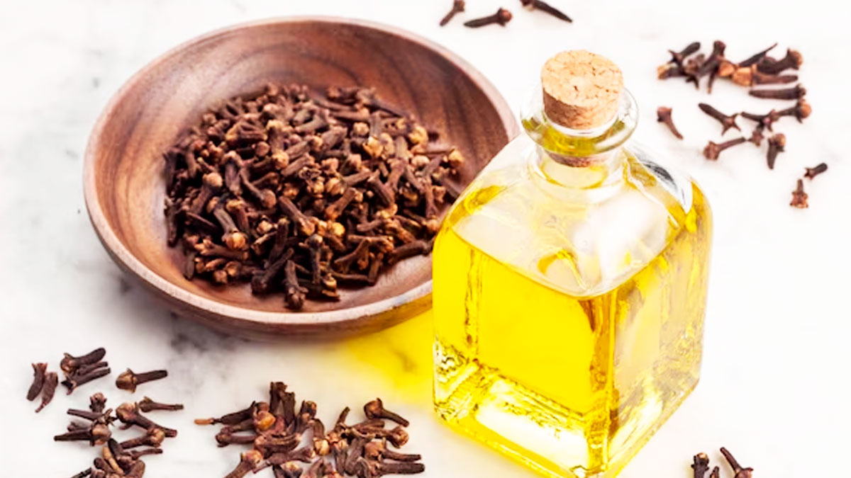 मसूड़ों का दर्द दूर करने के लिए ऐसे करें लौंग के तेल का इस्तेमाल, जल्द