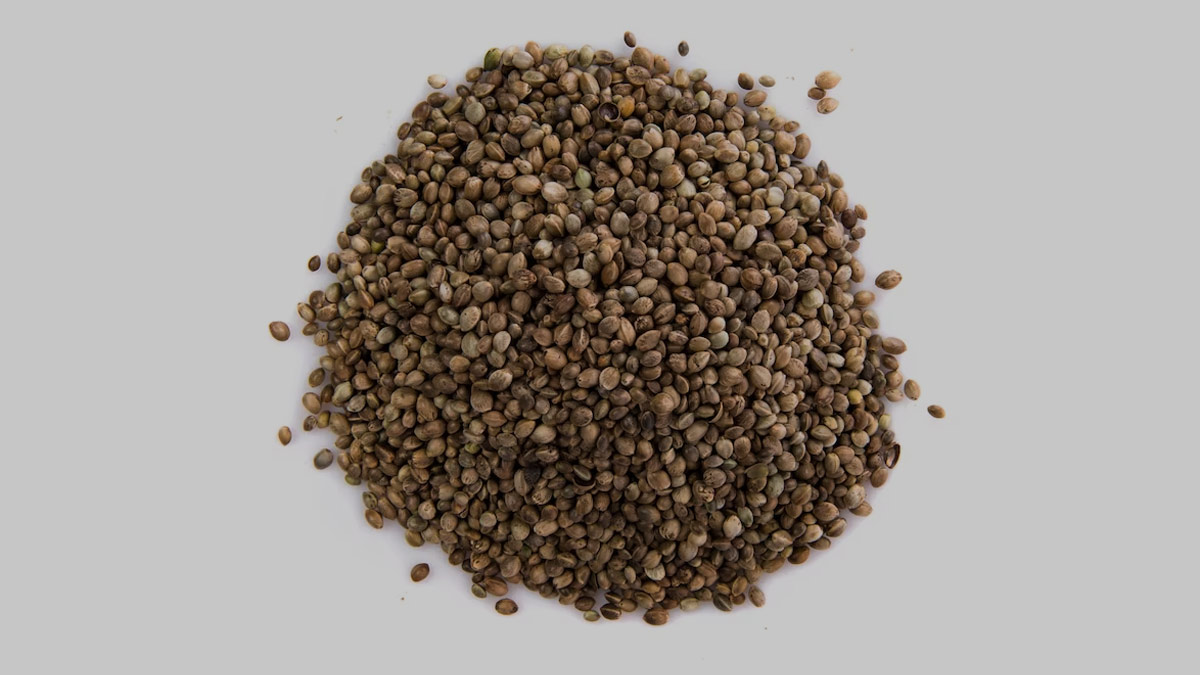 How-to-Check-Adulteration-in-Coriander-Powder-ins2