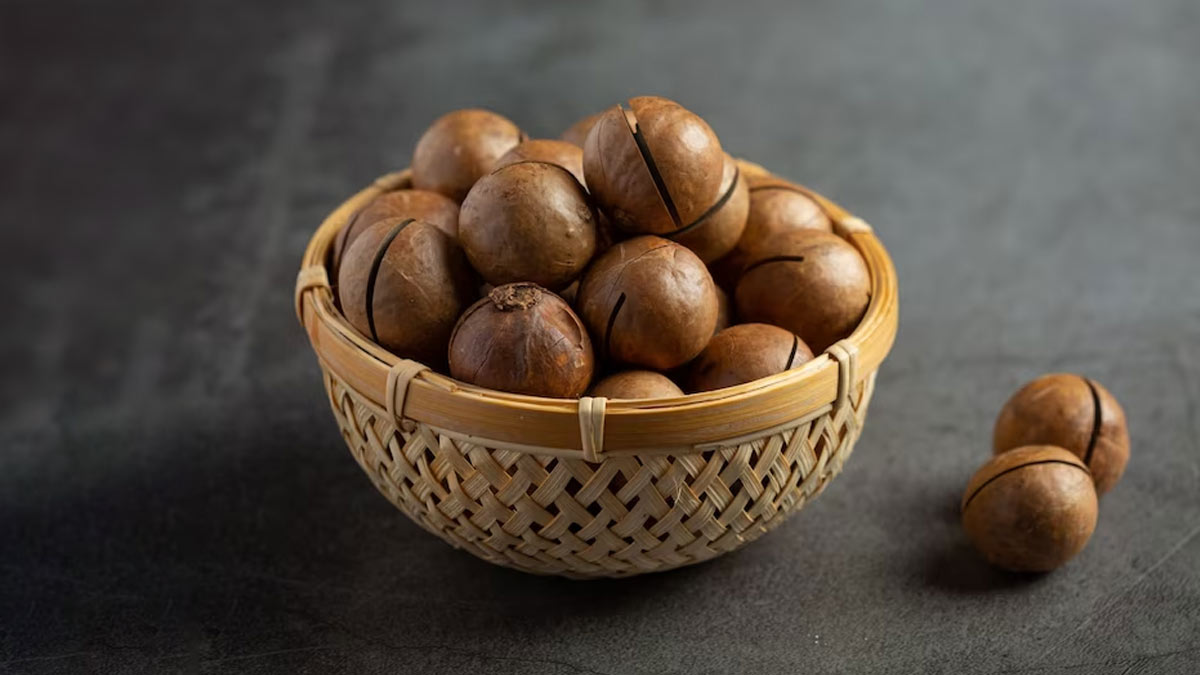 Are Macadamia Nuts Heathy?