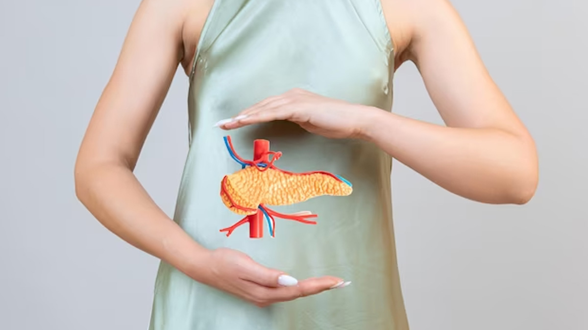 Pancreatic Health: Here’s How You Can Maintain It