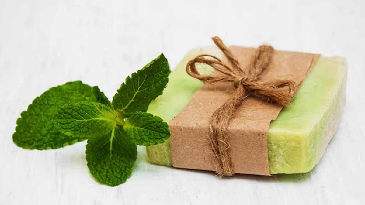 neem and mint soap