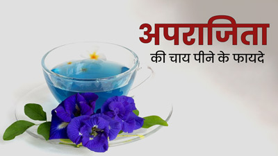 अपराजिता फूल की चाय पीने से सेहत को मिलते हैं ये 5 जबरदस्त फायदे, जानें बनाने का तरीका
