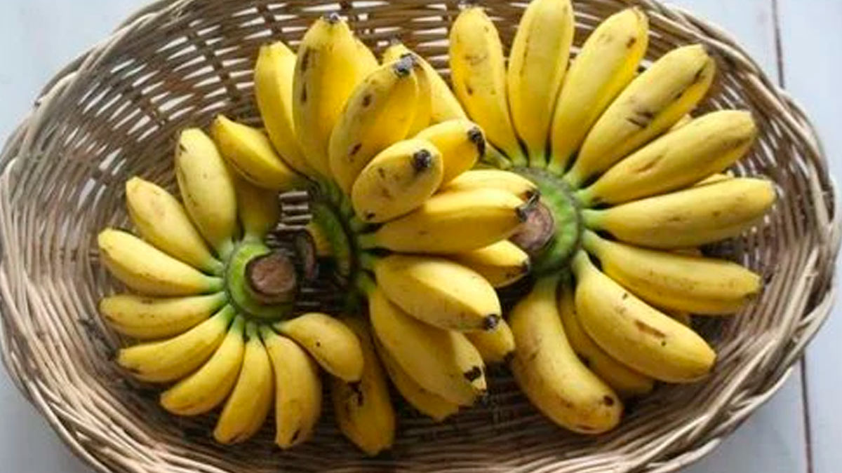 Foods to Reduce High Uric Acid in Hindi