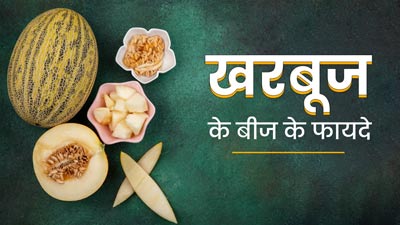 फेंकने के बजाय रोस्ट (भूनकर) करके खाएं खरबूजे के बीज, सेहत को मिलेंगे ये 5 फायदे