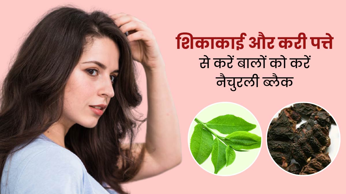 बालों पर लगाएं शिकाकाई और करी पत्ते का मास्क, उम्र से पहले सफेद नहीं होंगे बाल