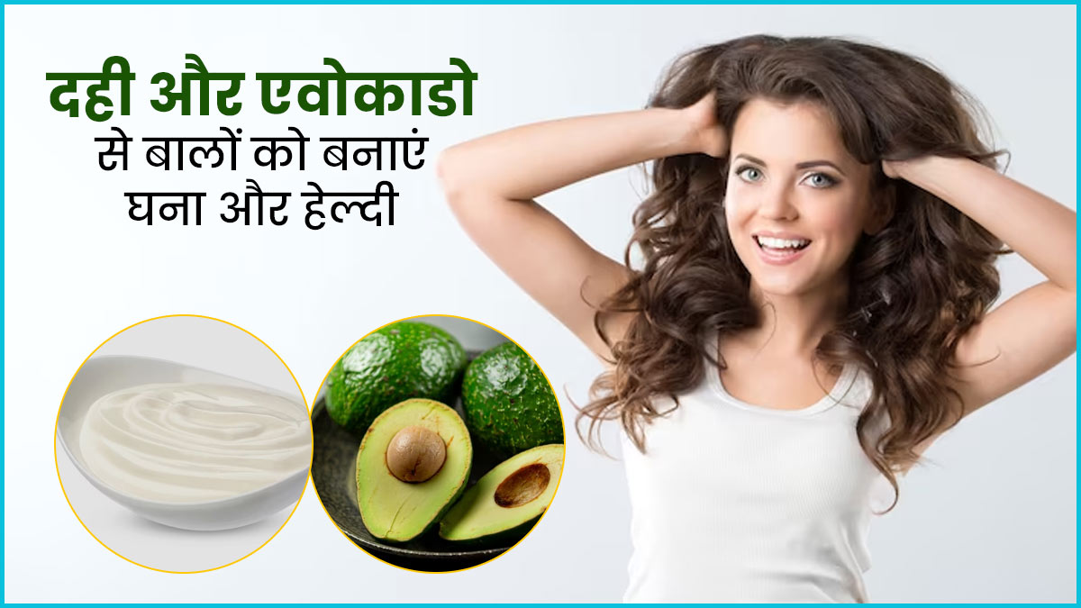 दही और एवोकाडो के हेयर मास्क से बालों की डेंसिटी कैसे बढ़ाएं? जानें इस्तेमाल का तरीका