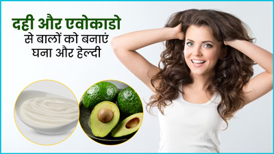 दही और एवोकाडो के हेयर मास्क से बालों की डेंसिटी कैसे बढ़ाएं? जानें इस्तेमाल का तरीका